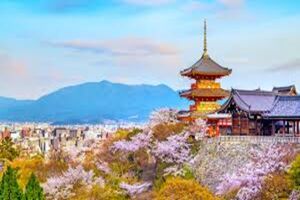 Genky Japanese & Culture School (Kioto)