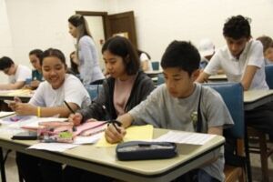 SOL CAMP (NUEVA YORK)