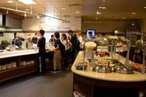 SOL CAMP (NUEVA YORK)