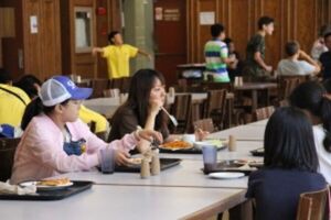 SOL CAMP (NUEVA YORK)