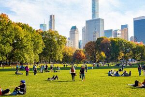 Campamento Tamwood New York