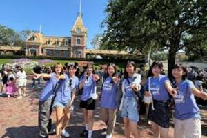 Campamento Tamwood New York